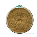 Natural Organic Aralia Elata Extract Powder Aralosides 40%